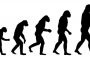 Human are really driving evolution of animals ?